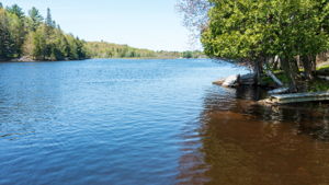  Photo 23