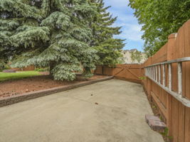  Photo 43