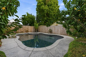 Backyard pool and spa framed by mature landscaping