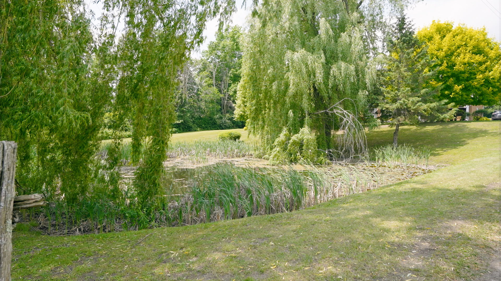  Photo 72