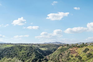 186272 - 1821 N Calle Petaluma, Thousand Oaks, CA 91360_059