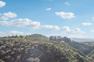 186272 - 1821 N Calle Petaluma, Thousand Oaks, CA 91360_061