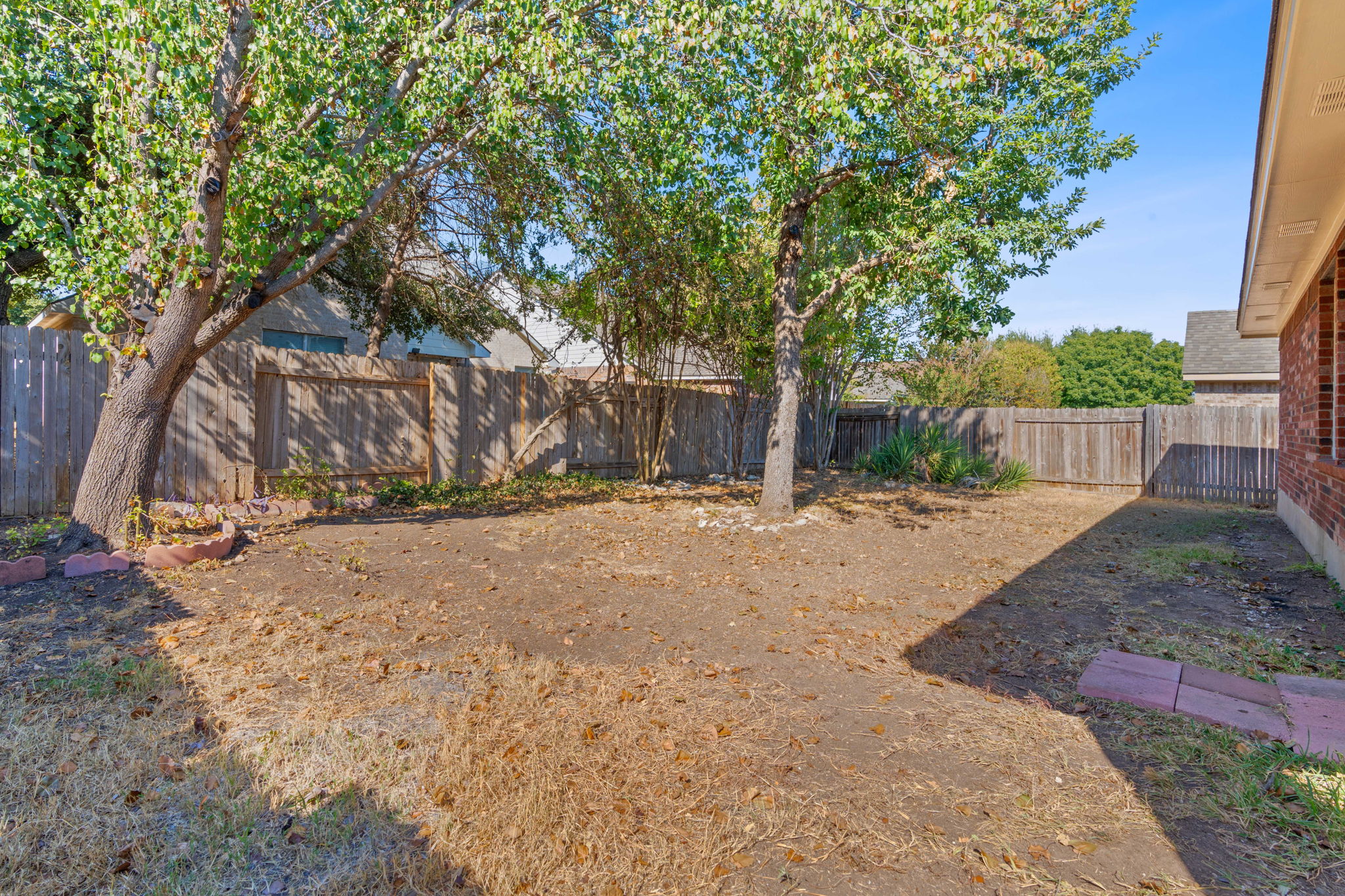Backyard 2