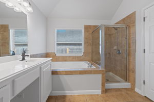 Primary Bathroom 3