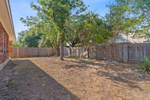 Backyard 1