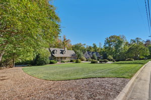 Front Yard