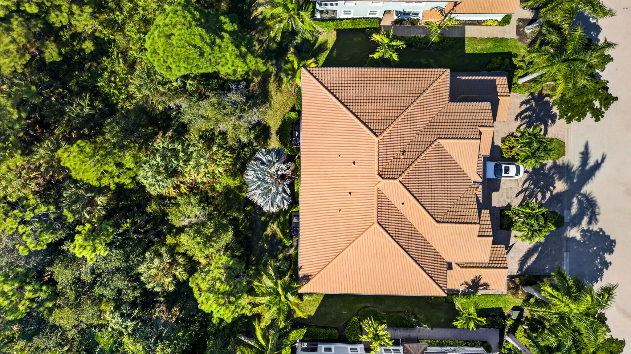 Aerial Overview