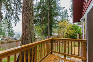  Photo 49