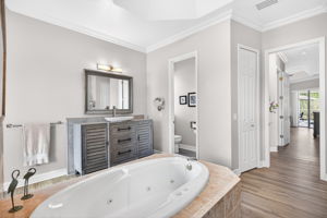 Primary Bathroom 1