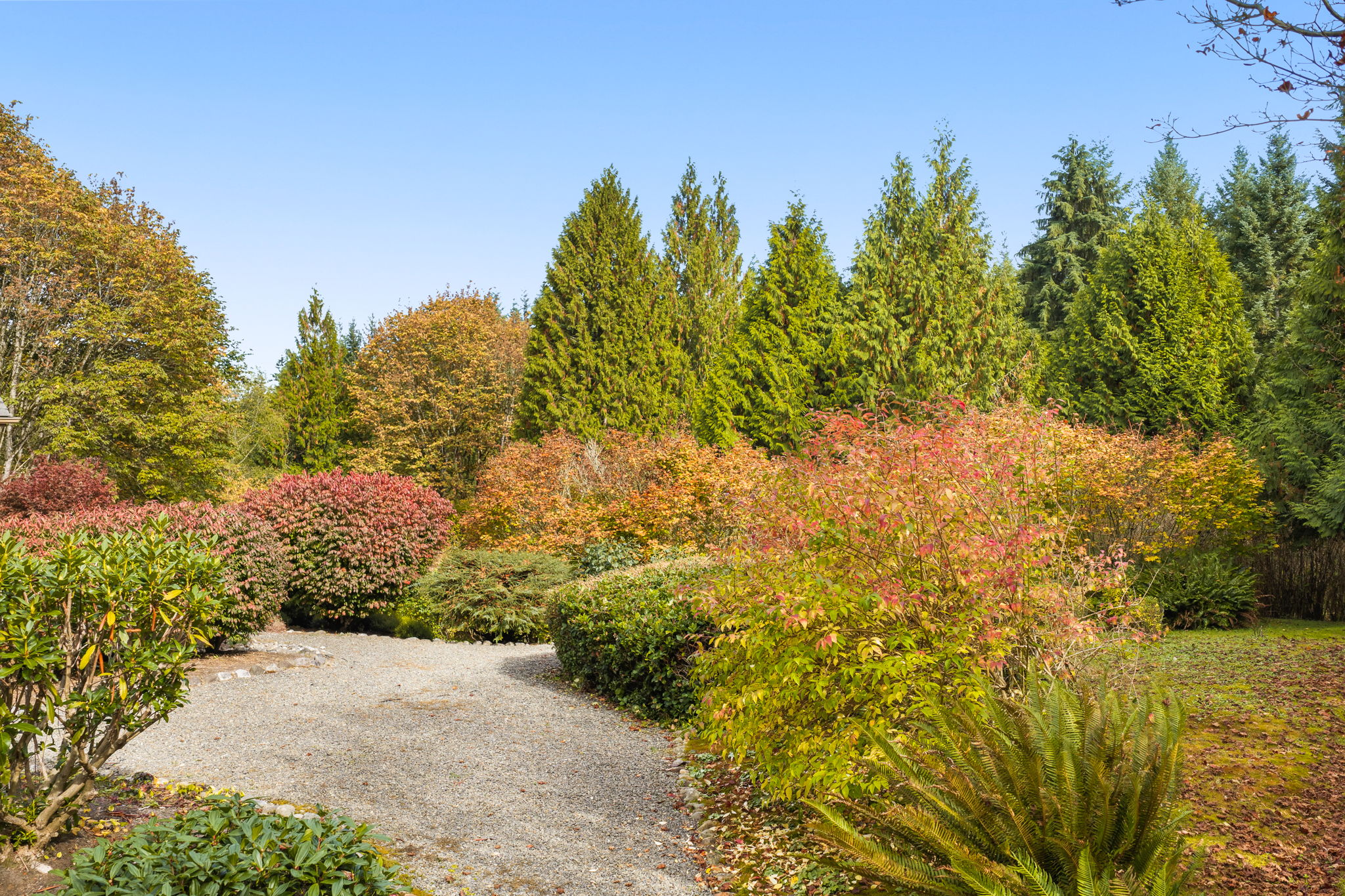 Stroll through gardens alive with autumn color, where gravel paths weave among mature shrubs and towering evergreens.