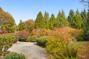 Stroll through gardens alive with autumn color, where gravel paths weave among mature shrubs and towering evergreens.