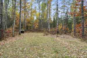  Photo 51