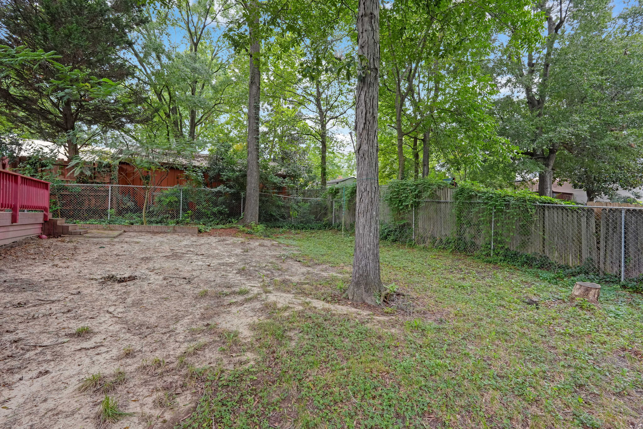 Back Yard