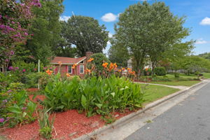 Front Yard