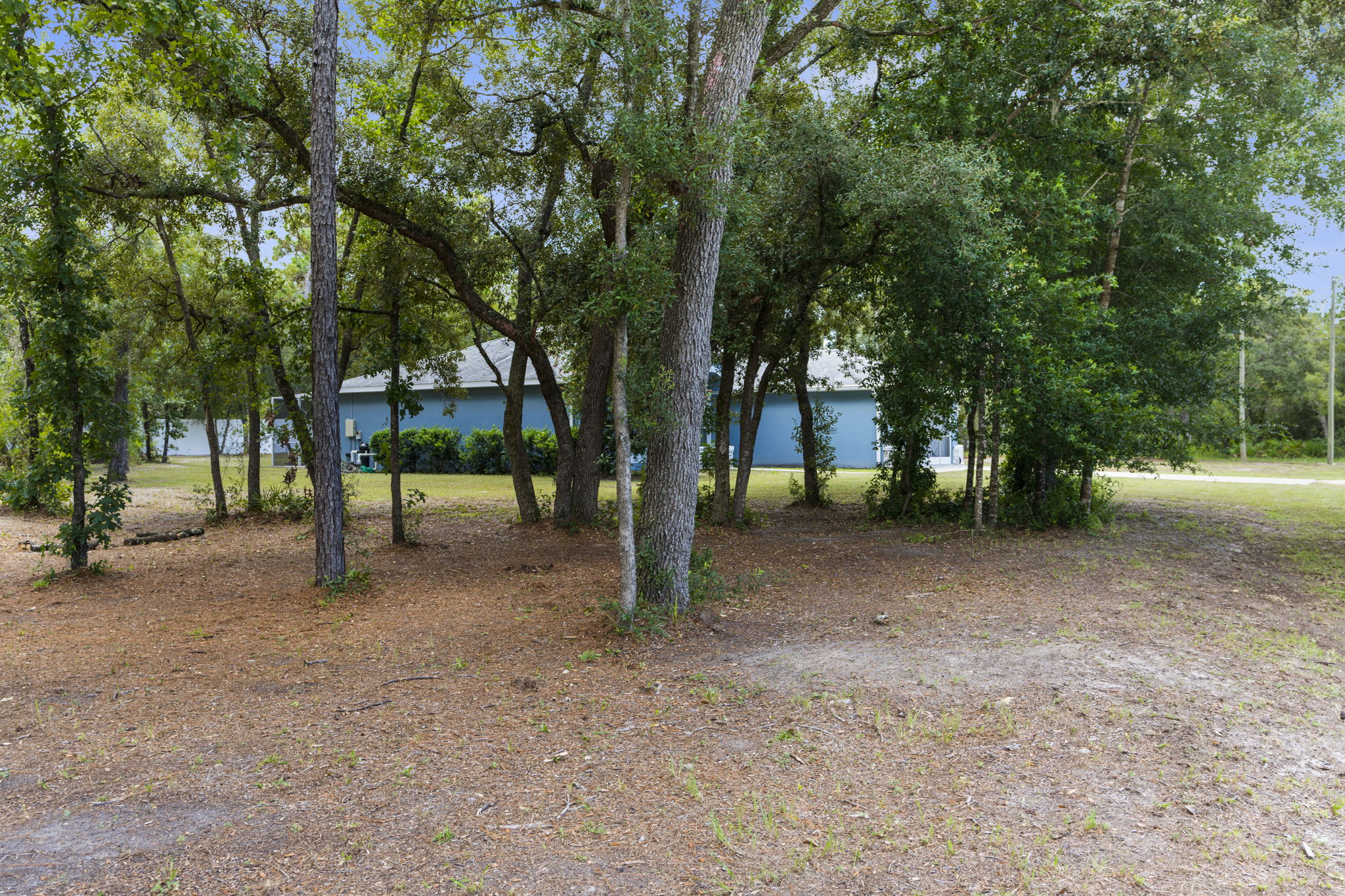  Photo 46