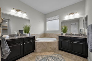 Primary Bathroom 1a