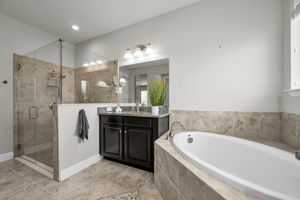 Primary Bathroom 1b