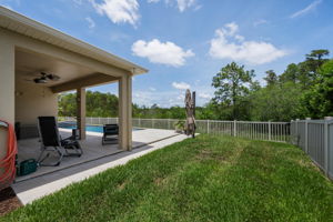 Backyard 1