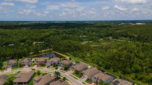 Aerial7