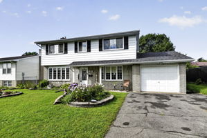  Photo 0