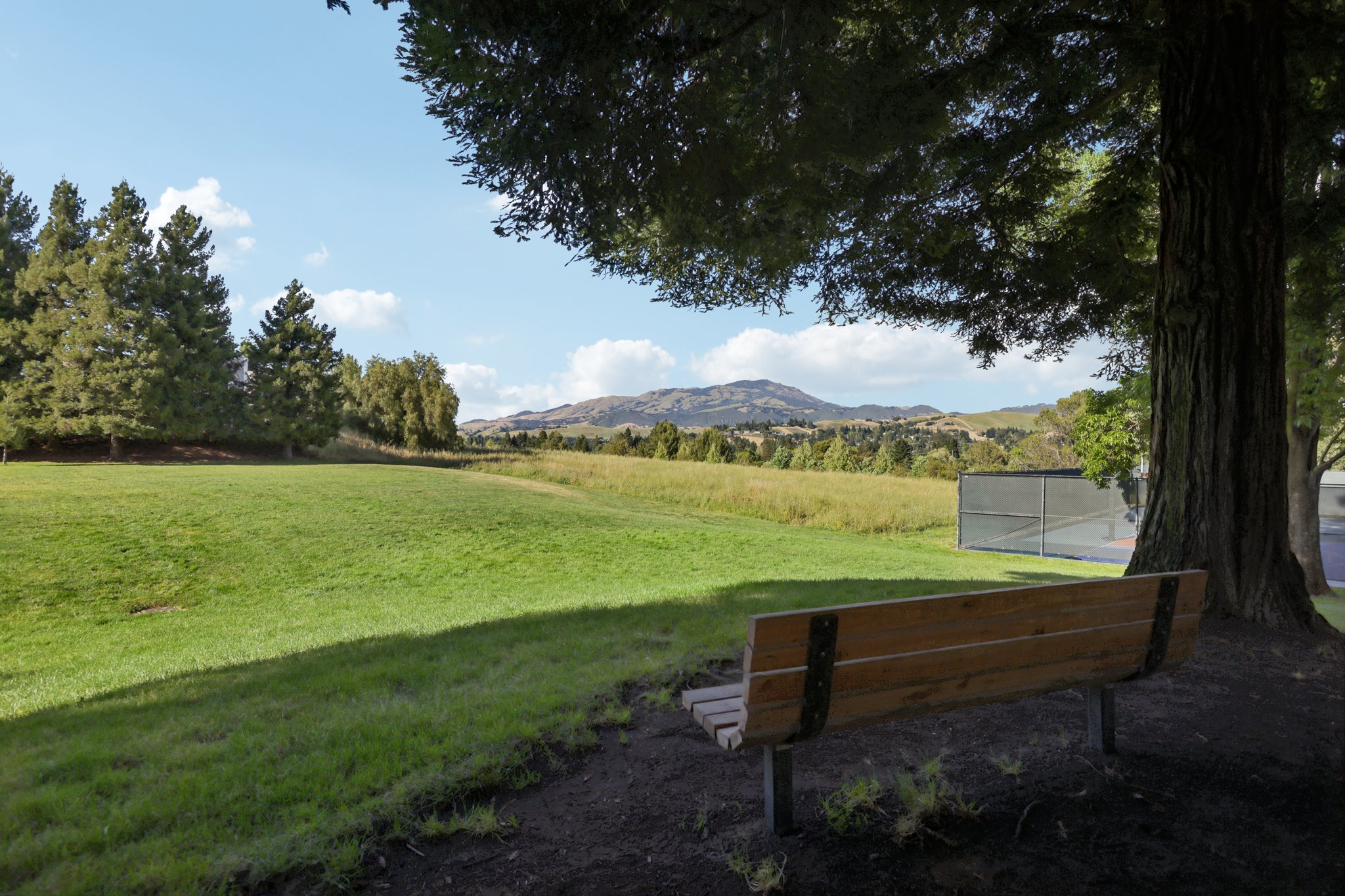 Mockingbird Pl-1004-907.jpg