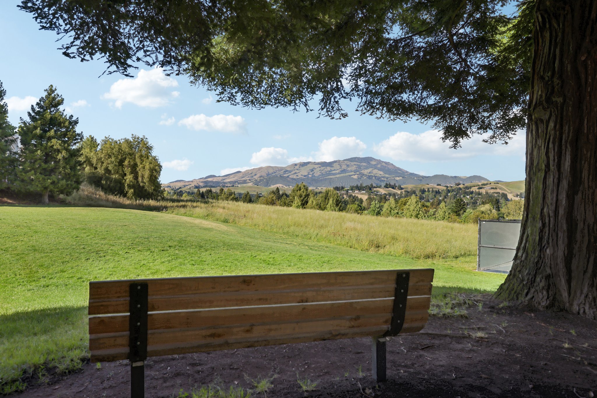 Mockingbird Pl-1004-910.jpg