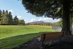 Mockingbird Pl-1004-907.jpg