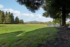 Mockingbird Pl-1004-908.jpg