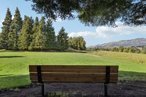 Mockingbird Pl-1004-909.jpg