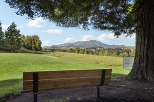 Mockingbird Pl-1004-910.jpg