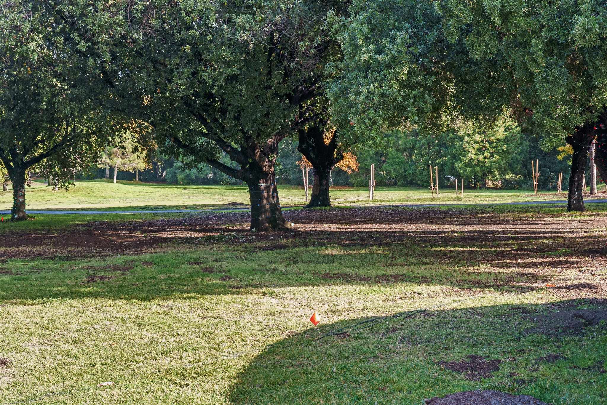 Vasona Park