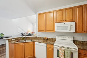 Concordia Lake Cir 1508-S0904-015.jpg