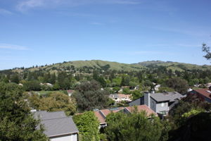  Photo 61