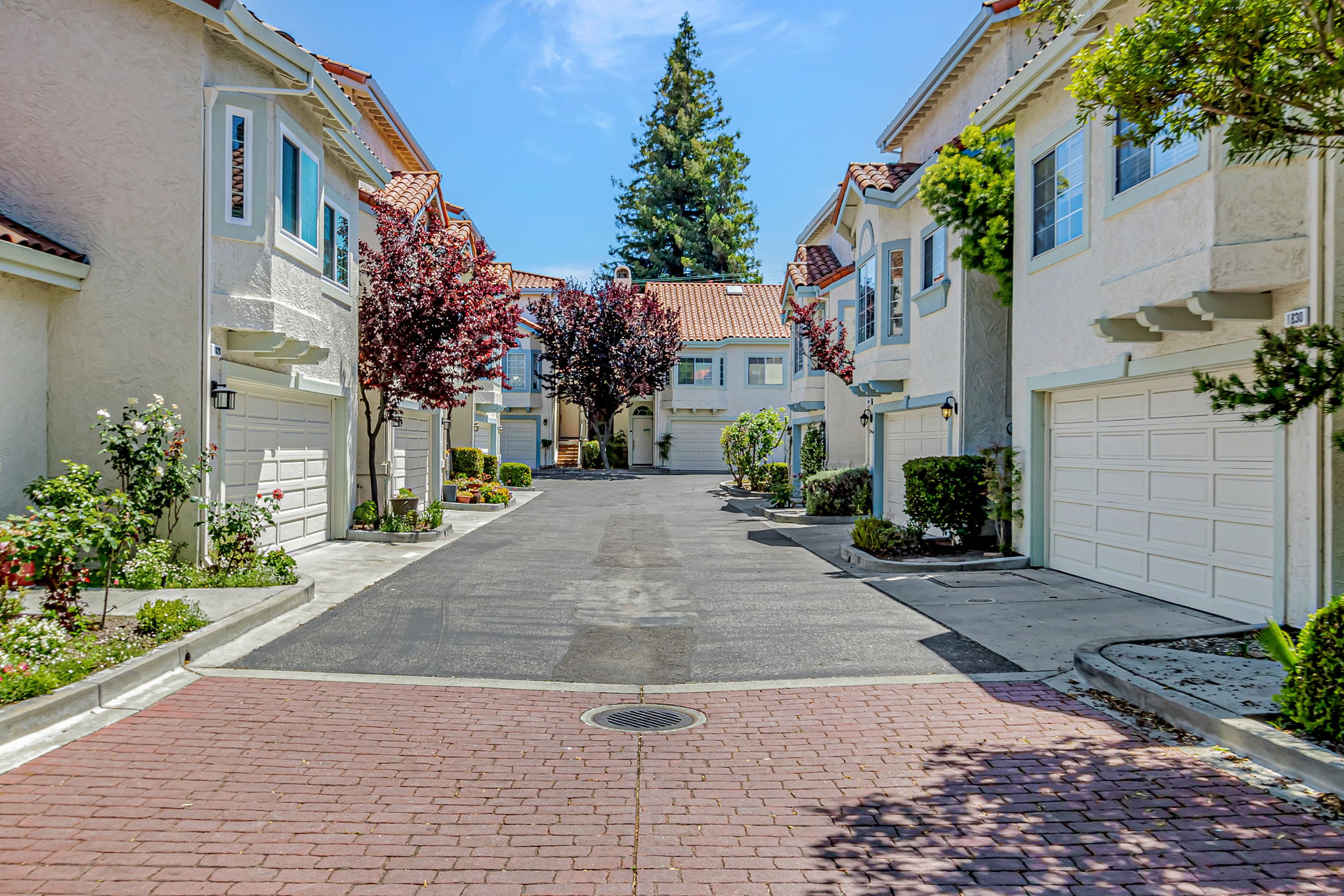 001_1826 Park Vista Cir