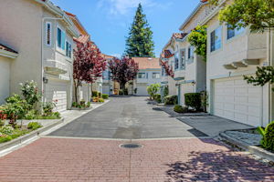 001_1826 Park Vista Cir