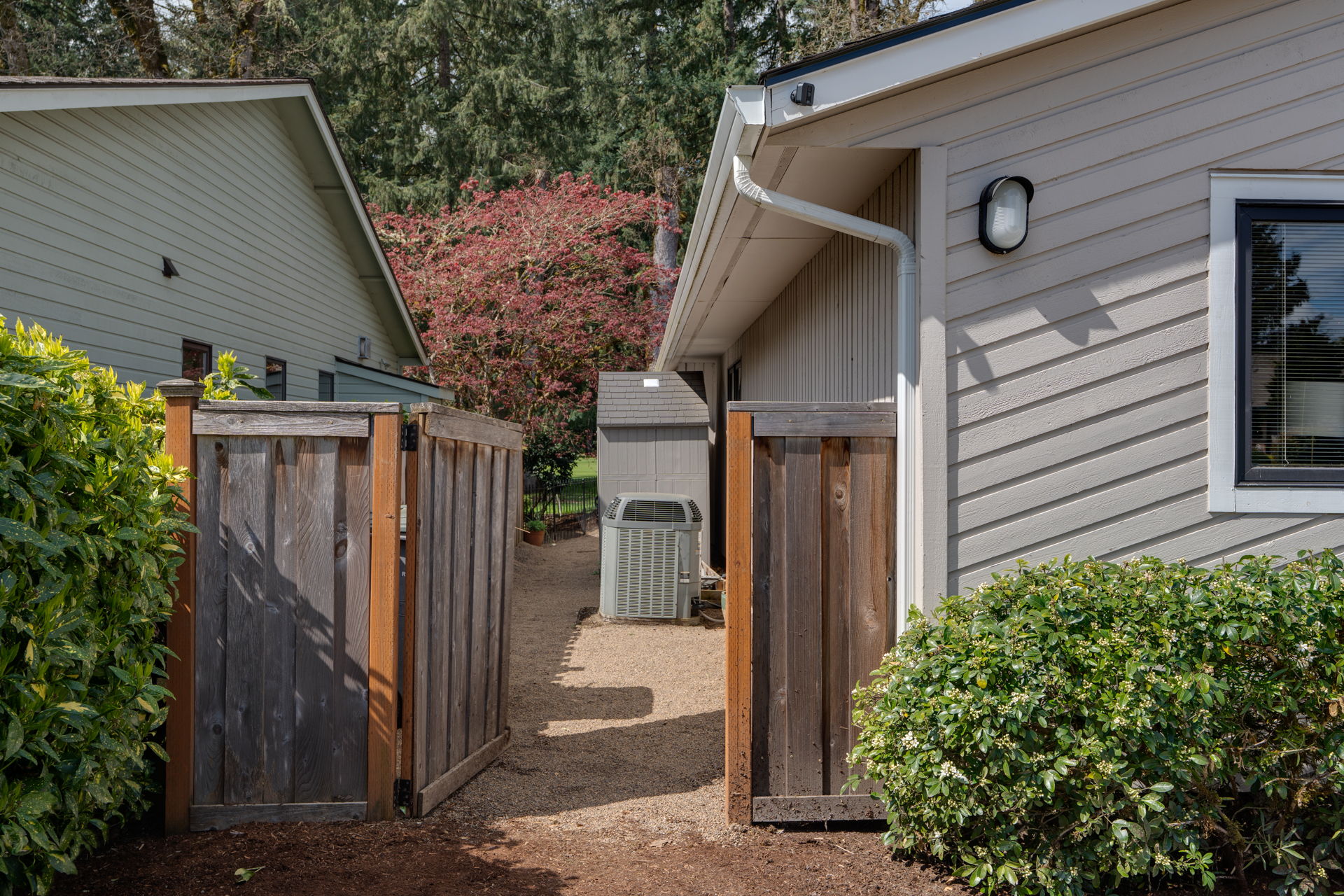  Photo 106