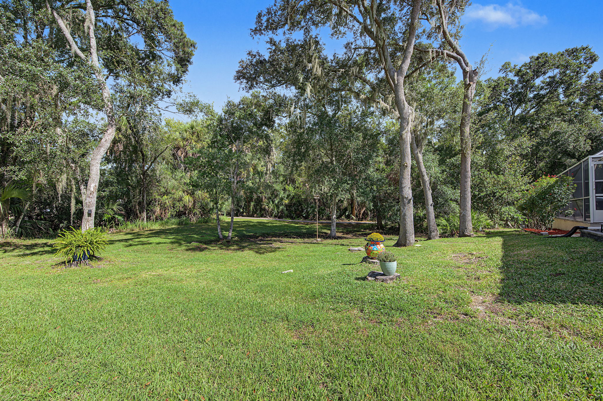 Backyard2