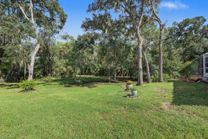 Backyard2