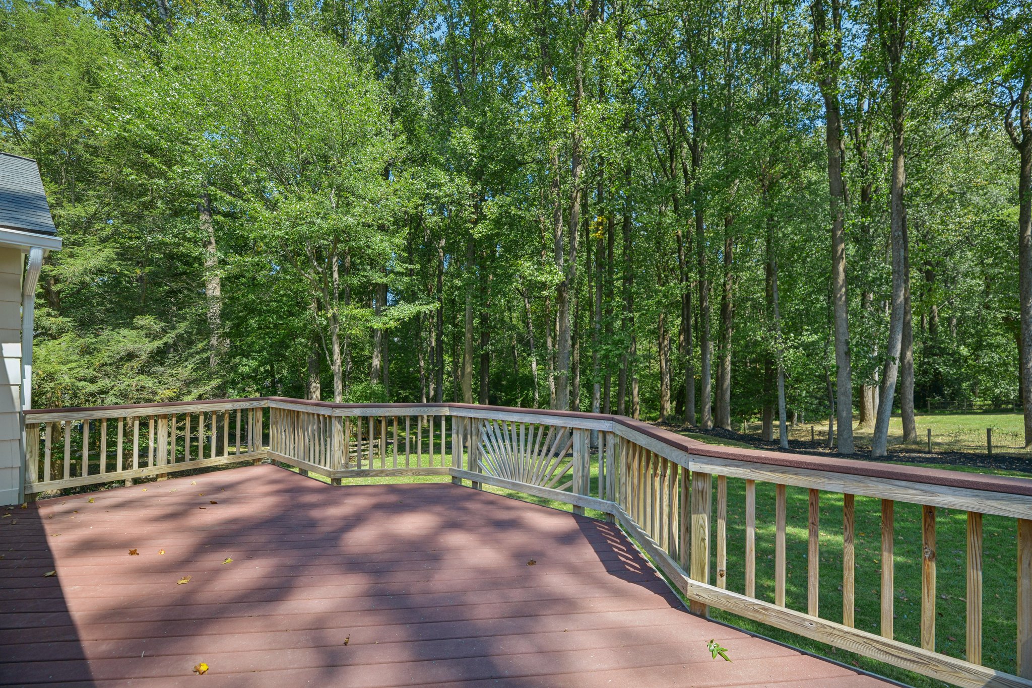 Horseback Trail-S0509-078.jpg