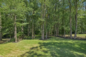 Horseback Trail-S0509-081.jpg