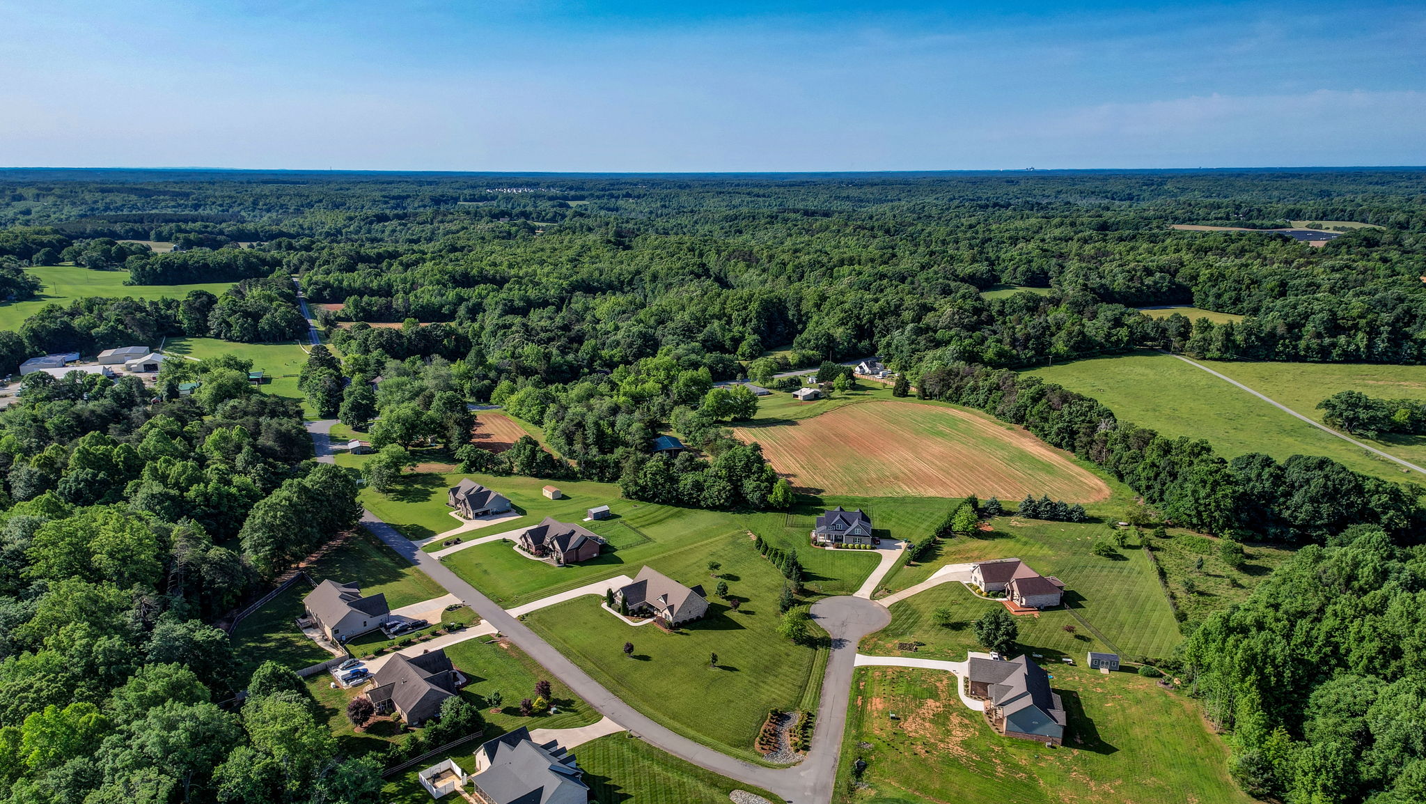 Neighborhood (Summer)