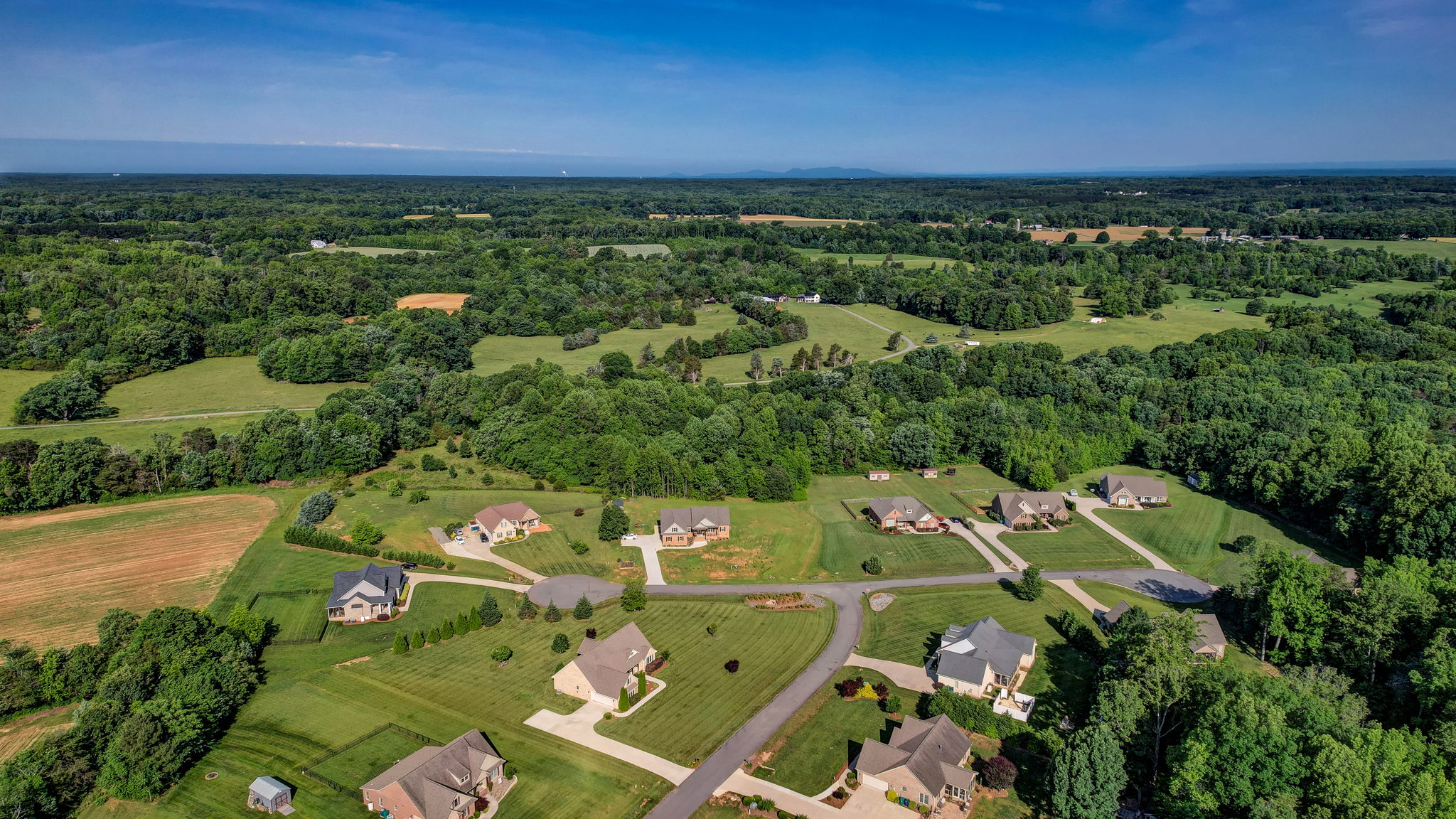 Neighborhood (Summer)