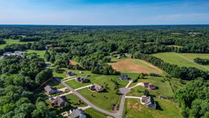 Neighborhood (Summer)