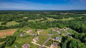 Neighborhood (Summer)