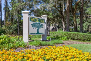 Water Oak