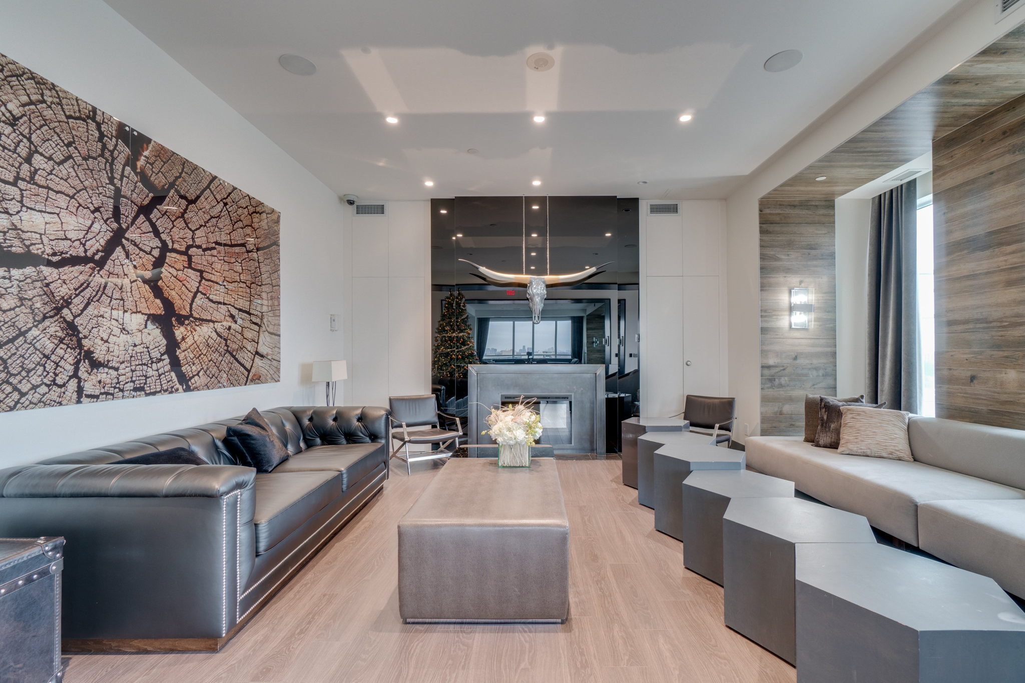 Toronto property showcase — delivered property photograph 19