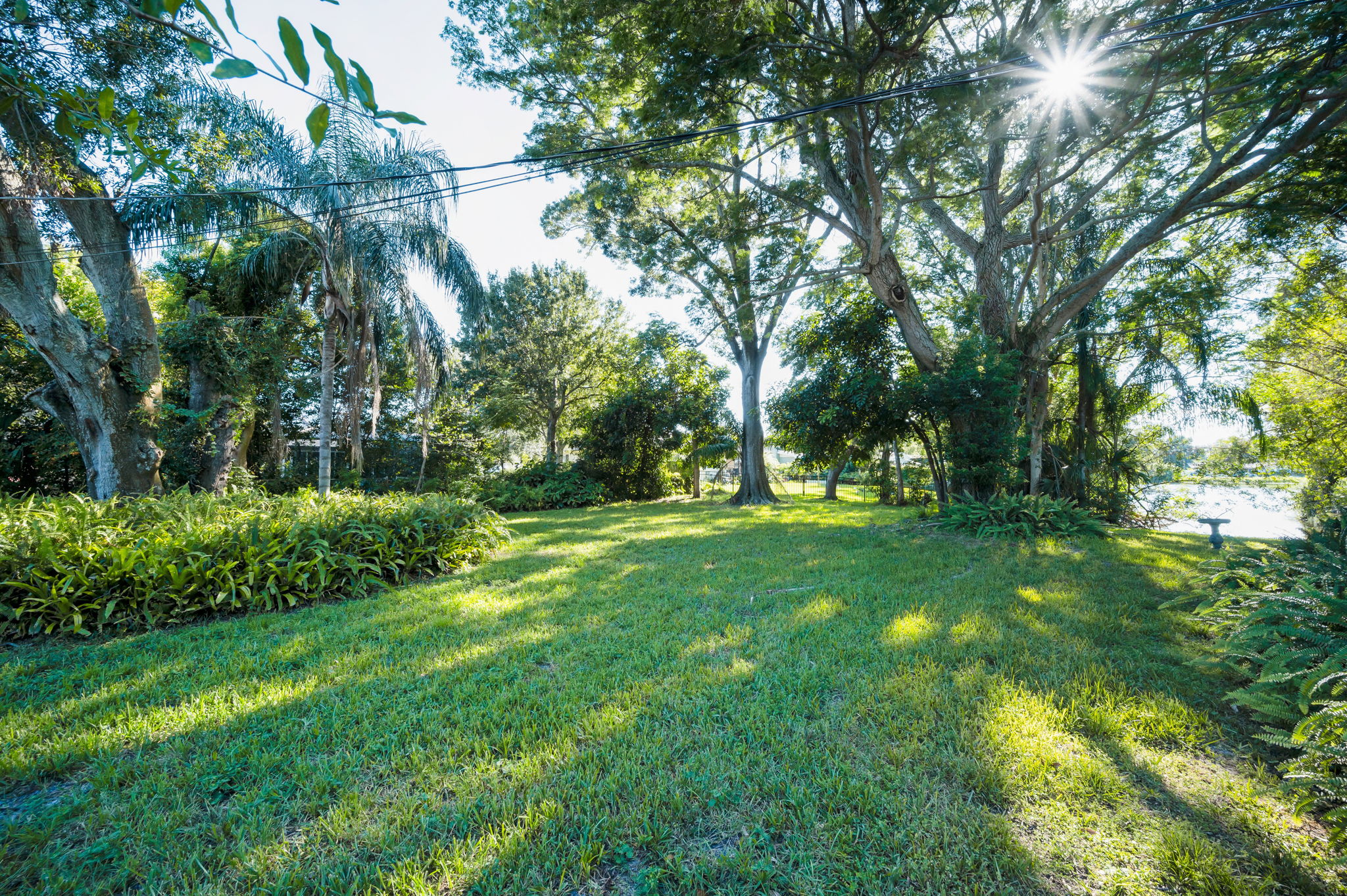 Backyard5