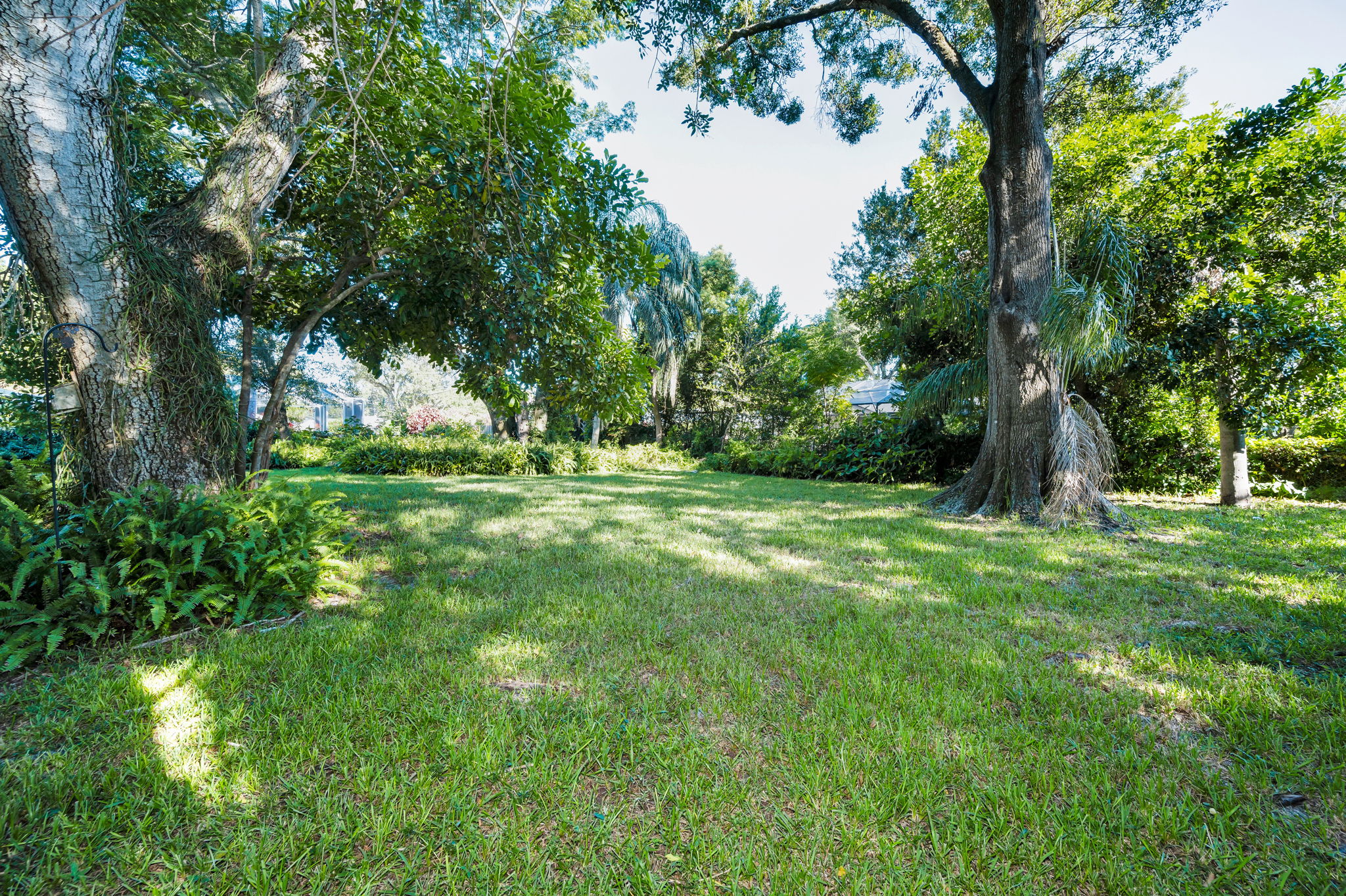 Backyard7