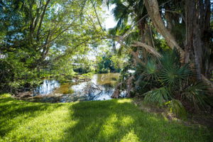 Backyard2