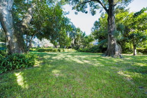 Backyard7